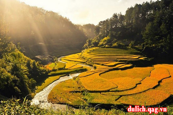 Ngắm ruộng bậc thang mùa lúa chín đẹp nhất ở Tây Bắc